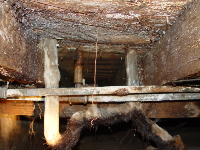 Defect Pics from inspections
